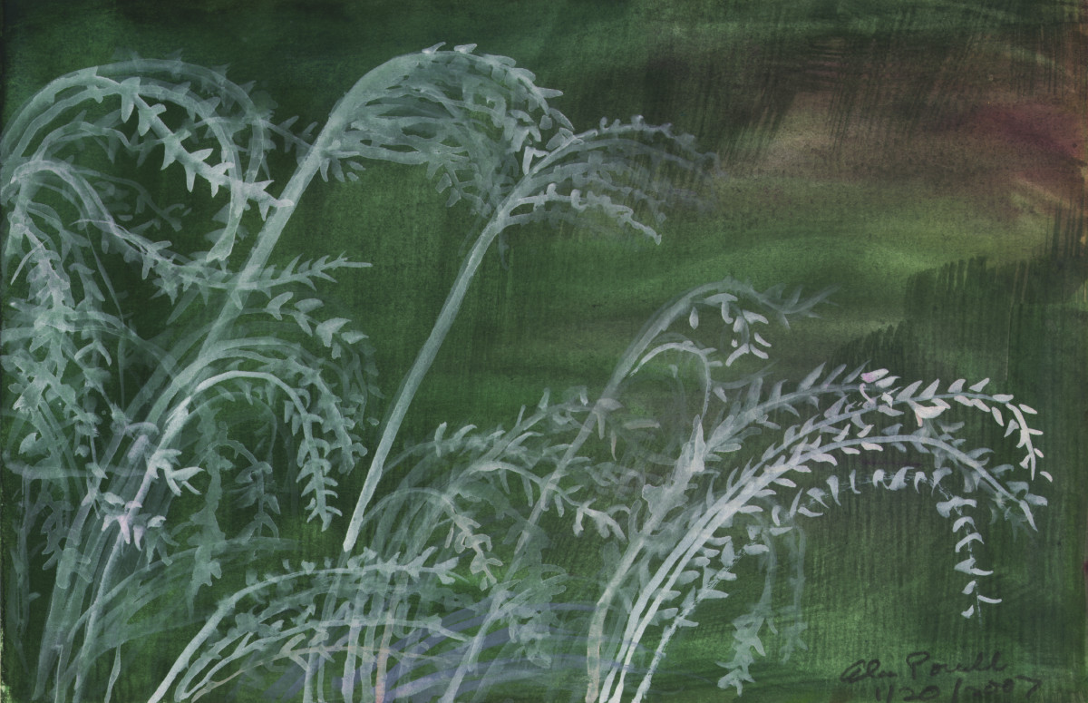 January 20, 2007  Dead Grasses by Alan Powell 