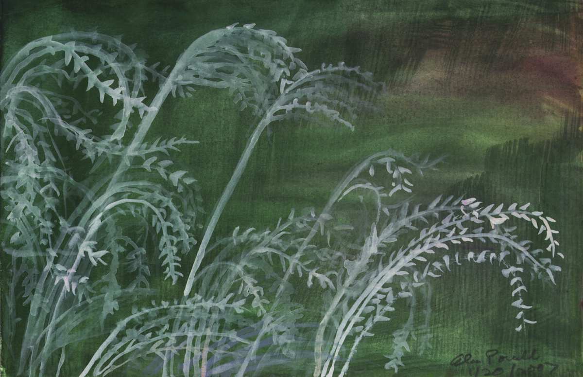 January 20, 2007  Dead Grasses by Alan Powell, Image 1.