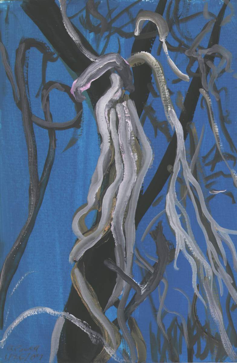 January 26,2007 Grape Vines by Alan Powell, Image 1.