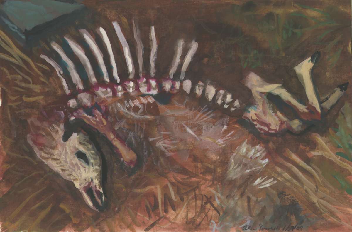 January 27, 2007  Deer Carcass by Alan Powell, Image 1.
