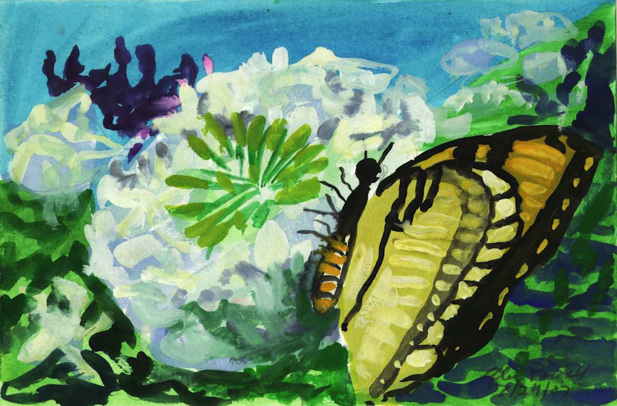 July 24, 2007 Tiger Swallowtail by Alan Powell, Image 1.