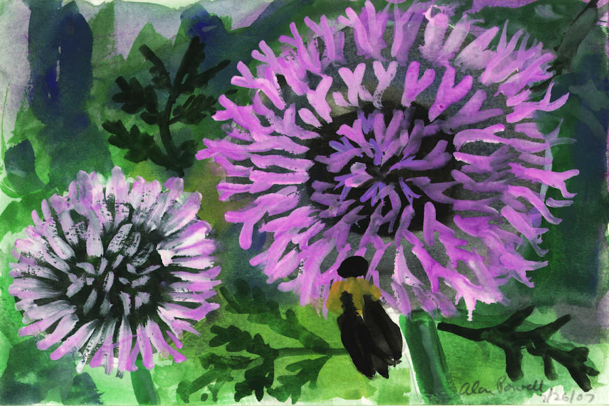 July 26, 2007 Monarda Flowers by Alan Powell, Image 1.