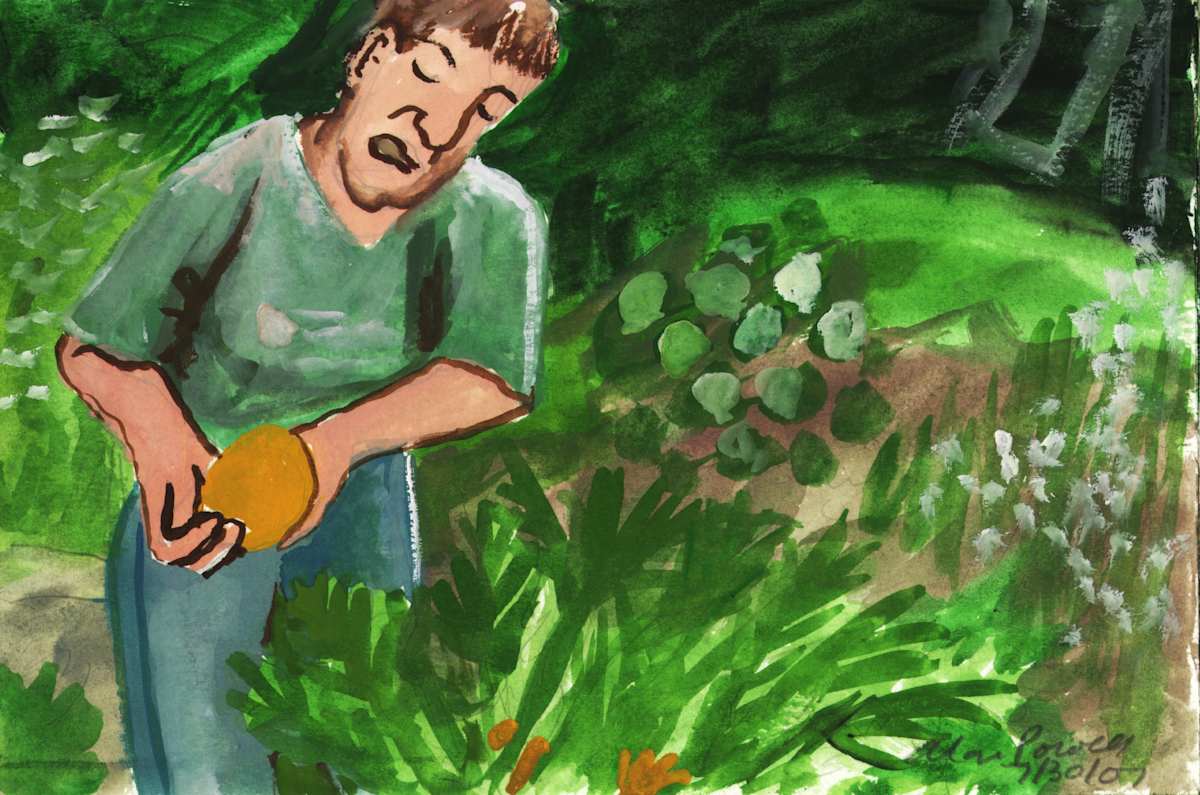 July 30, 2007 - Nat's Garden by Alan Powell, Image 1.
