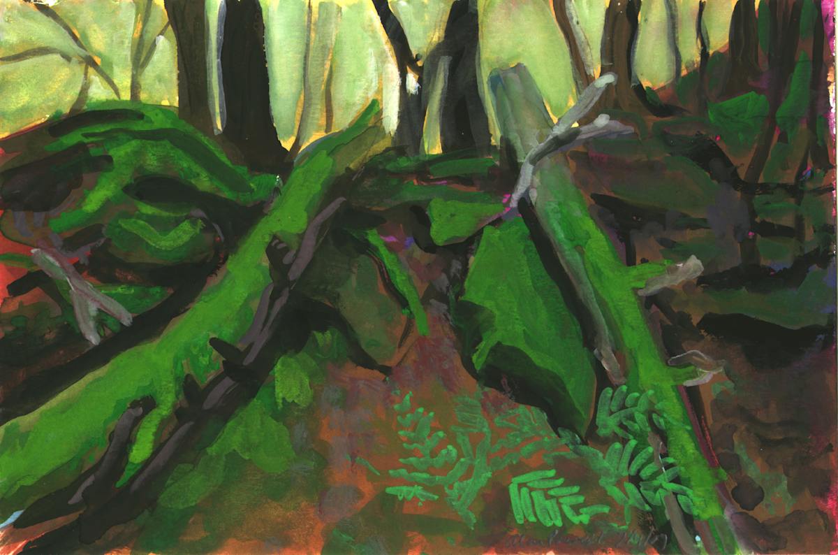 July 4, 2007 - Tree Trunk by Alan Powell, Image 1.