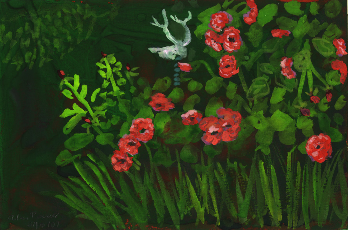 June 10, 2007 Roses Start to Bloom by Alan Powell 