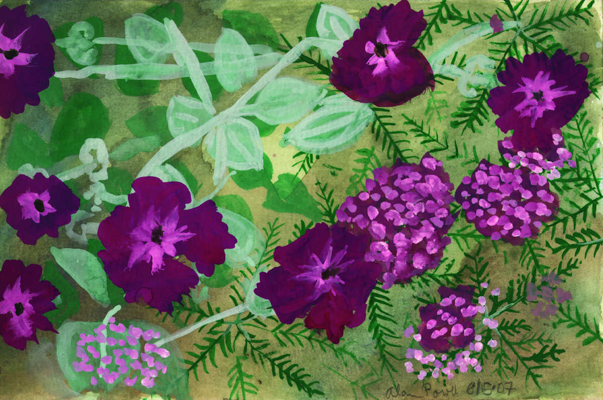 June 14, 2007 Pansies by Alan Powell, Image 1.