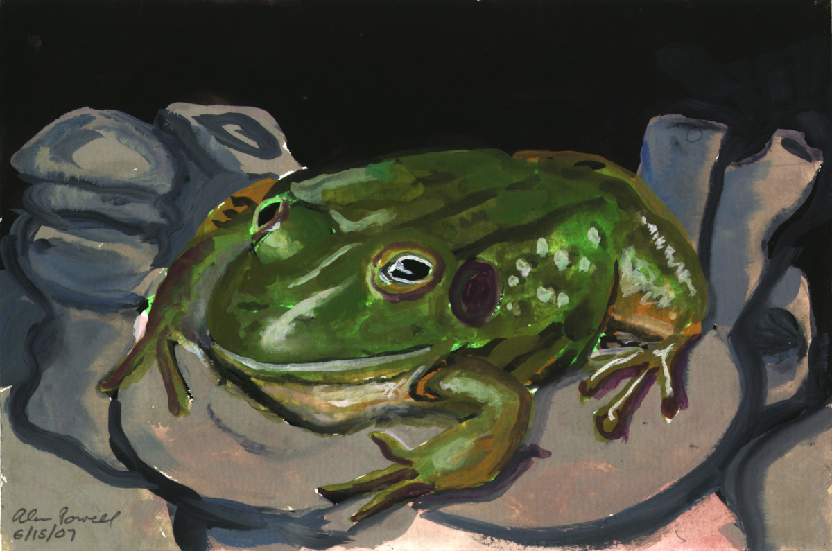 June 15, 2007 Frog in Pond by Alan Powell 