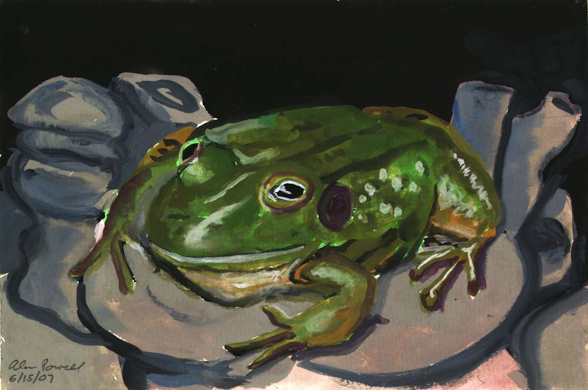 June 15, 2007 Frog in Pond by Alan Powell, Image 1.