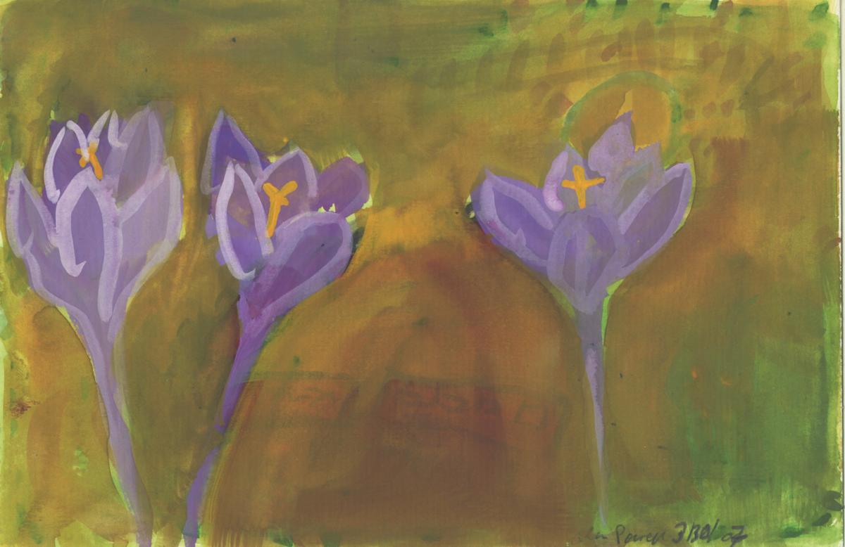 March 30, 2007 Spring Flowers by Alan Powell, Image 1.