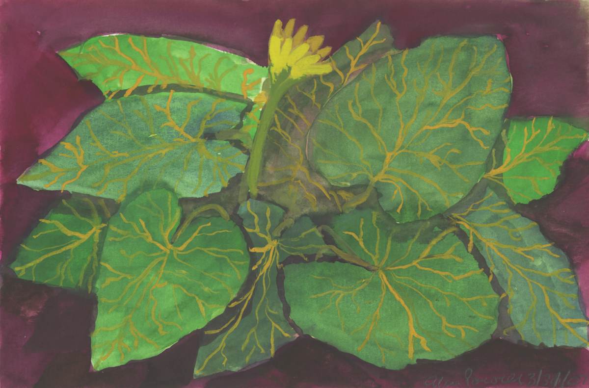 March 31, Spring Flowers by Alan Powell, Image 1.