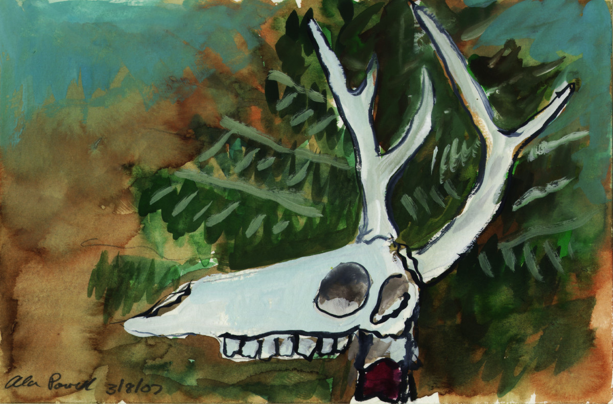 March 8, 2007 Deer Skull by Alan Powell 