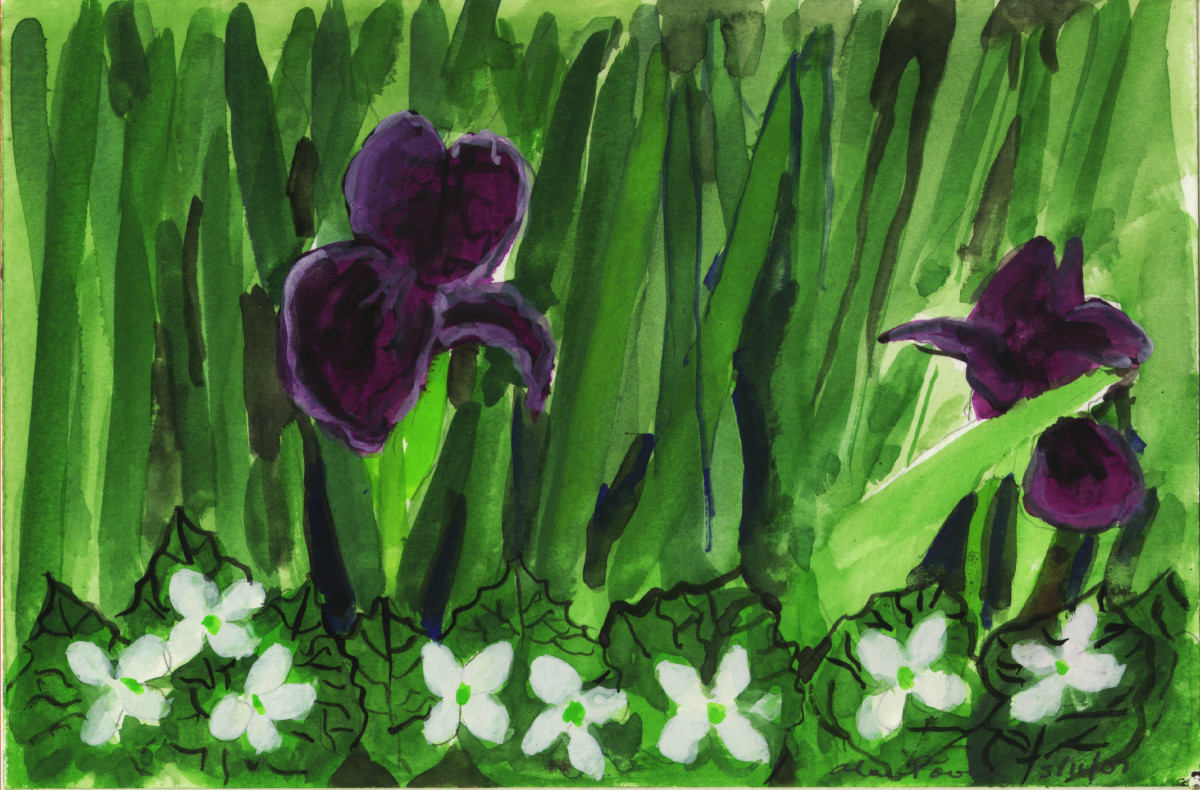 May 11, 2007  Iris by Alan Powell 