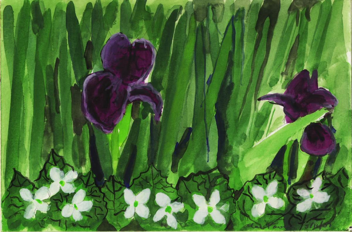 May 11, 2007  Iris by Alan Powell, Image 1.