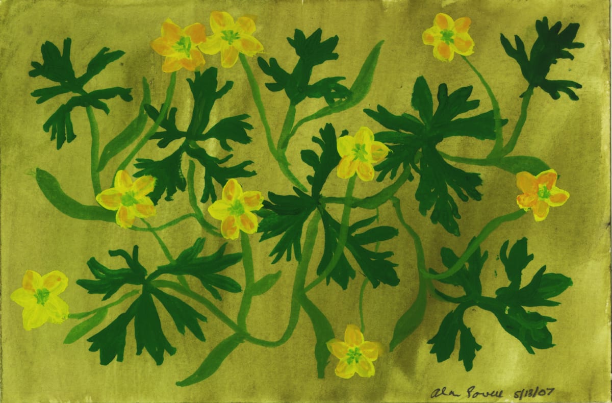 May 13, 2007 Marsh Mallows by Alan Powell 