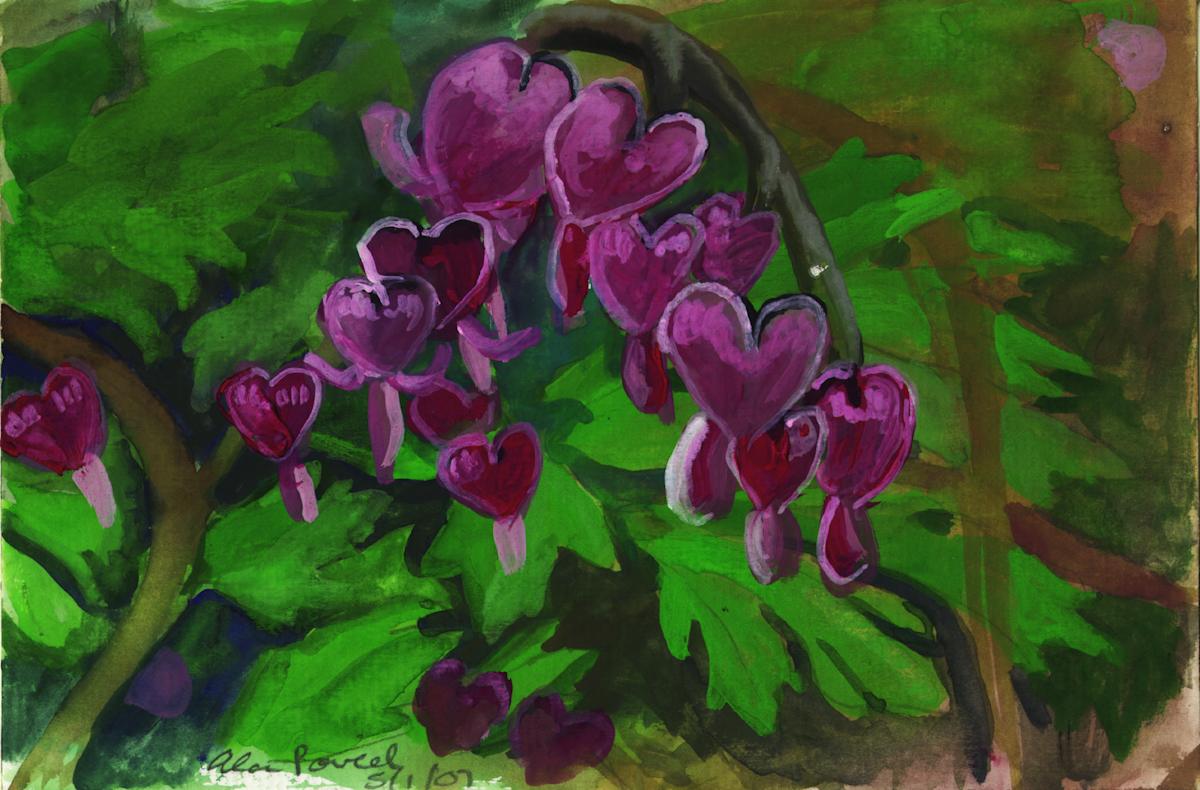 May 1, 2007 Bleeding Hearts by Alan Powell, Image 1.