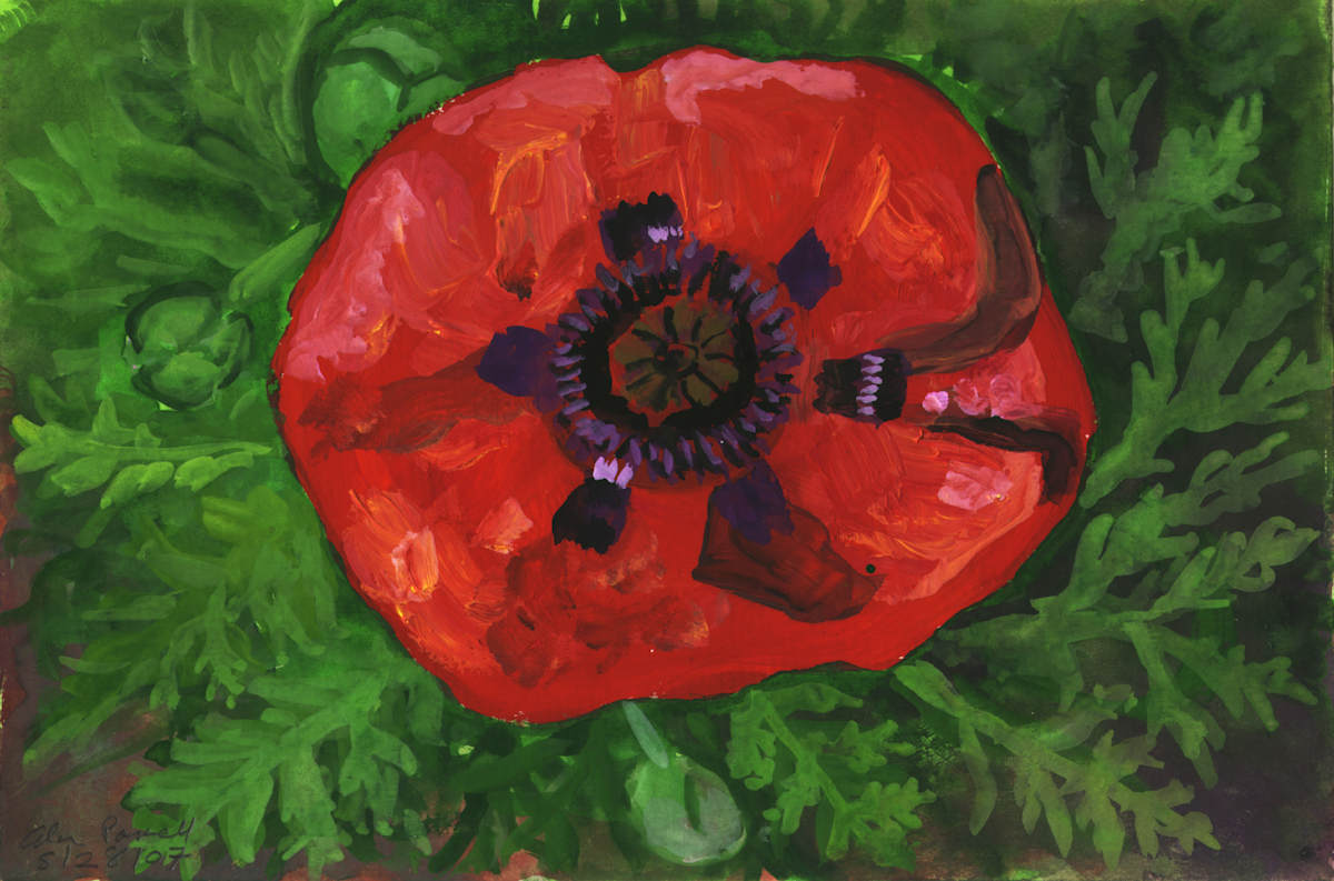 May 28, 2007 Poppy by Alan Powell, Image 1.