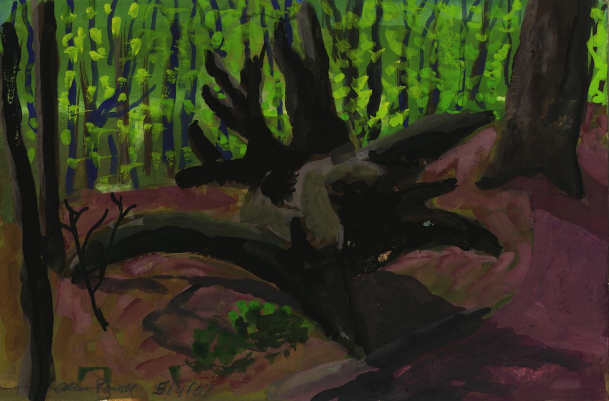May 4, 2007 In the Woods  by Alan Powell, Image 1.