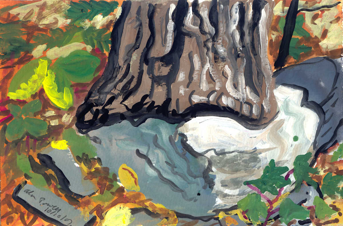 October 10, 2007; Tree Trunk by Alan Powell, Image 1.