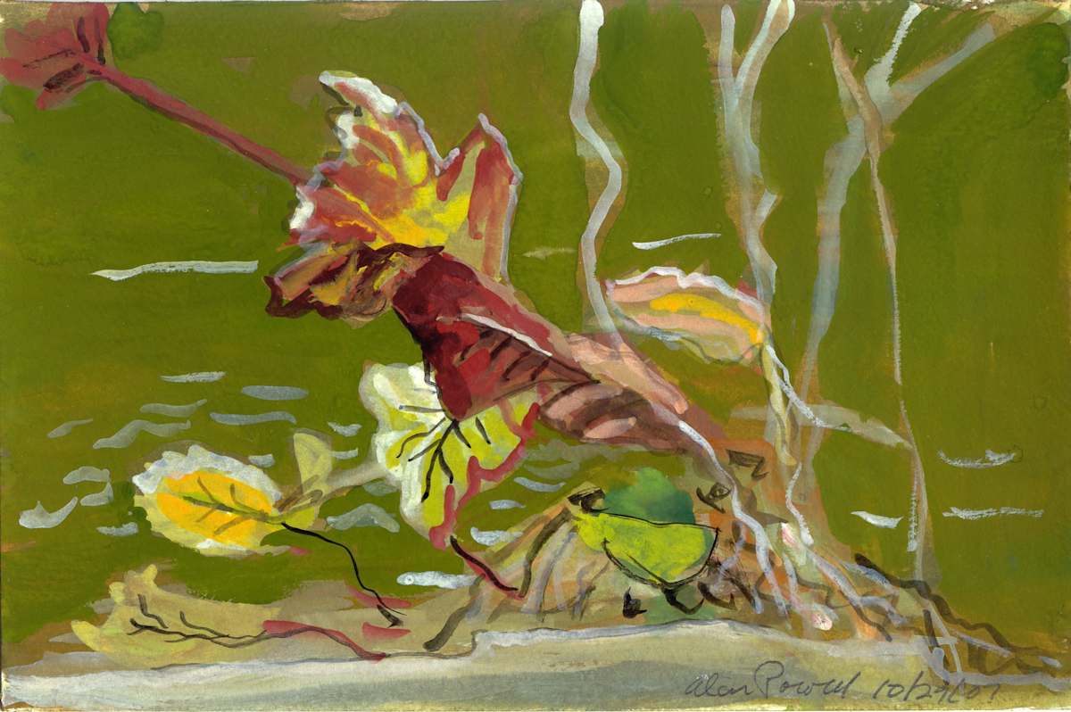 October 29, 2007; Leaves by Alan Powell, Image 1.