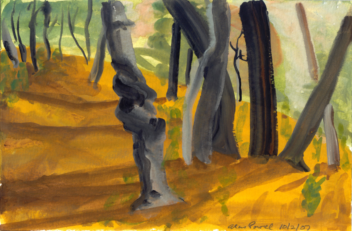 October 2, 2007; Trees  by Alan Powell 