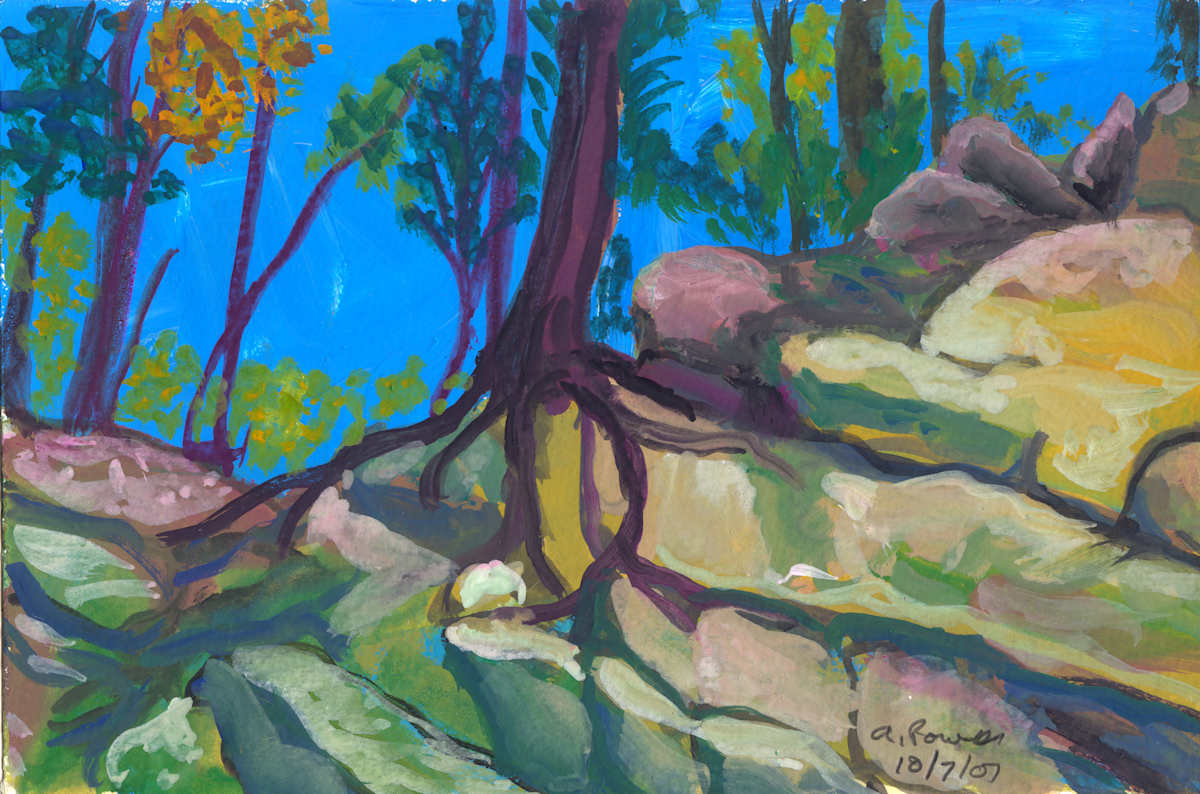 October 7, 2007; Tree Roots by Alan Powell, Image 1.
