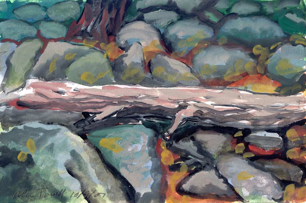 October 9, 2007; Tree Fallen on Rocks by Alan Powell, Image 1.