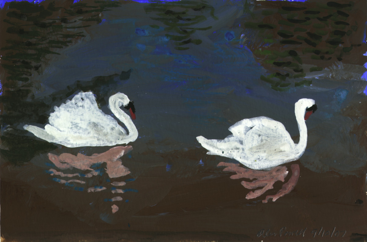 September 10, 2007; Swans by Alan Powell 