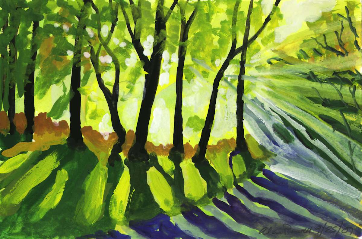 September 24, 2007; Morning Sun by Alan Powell, Image 1.
