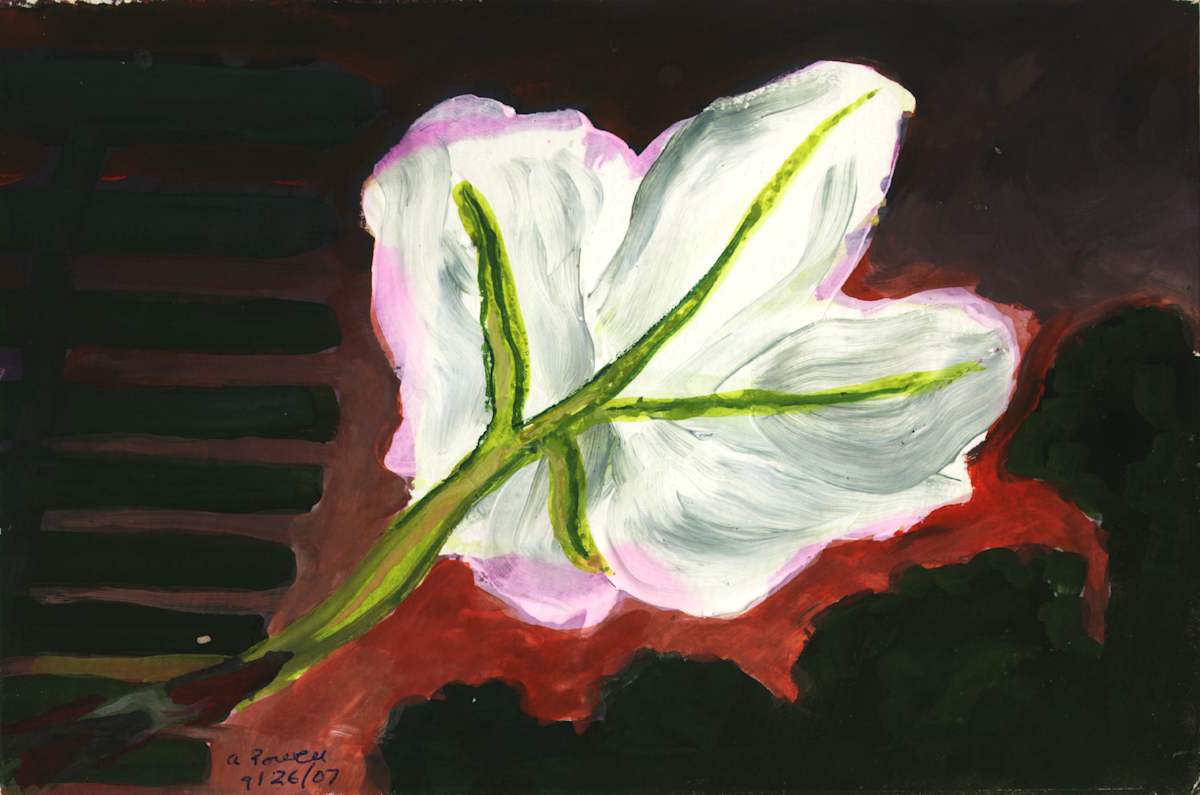 September 26, 2007; Moon Flower by Alan Powell, Image 1.
