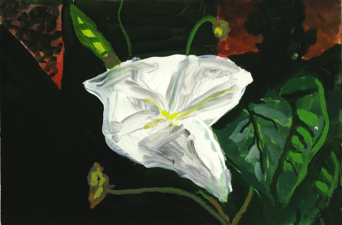 September 27, 2007; Moon Flower by Alan Powell 