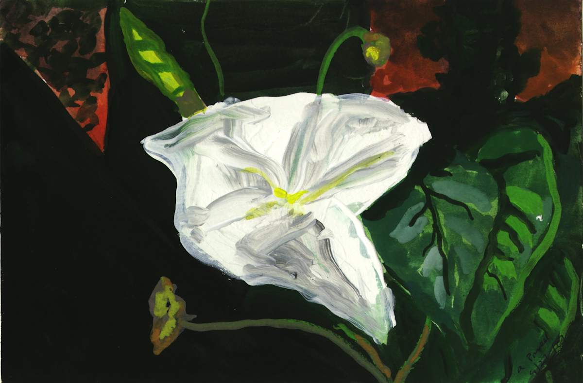 September 27, 2007; Moon Flower by Alan Powell, Image 1.
