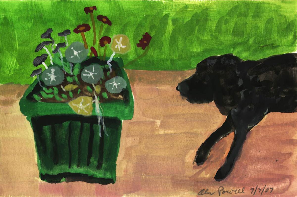 September 7 2007; BJ Smelling Flowers by Alan Powell, Image 1.