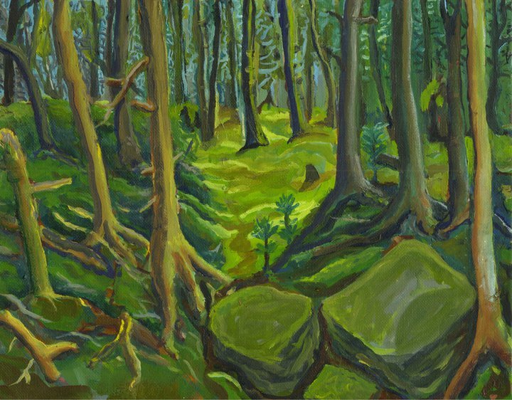 Woods on Bell's Island Nova Scotia by Alan Powell 