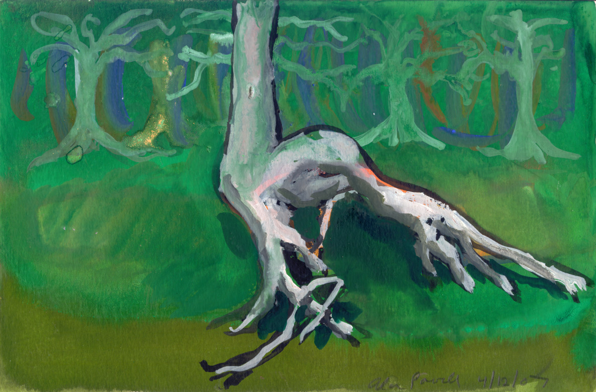 April 12, 2007; Tree Roots by Alan Powell 