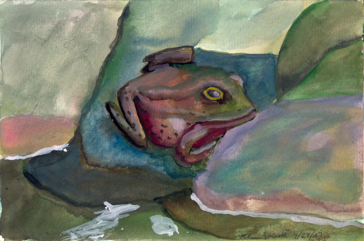 April 27 2007;  Frog by Alan Powell 