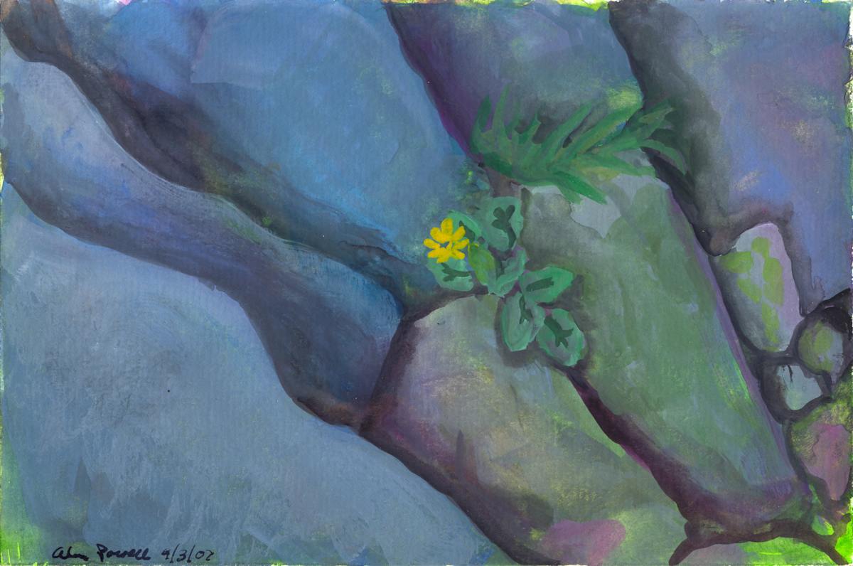 April 3 2007; Hidden Flower by Alan Powell, Image 1.