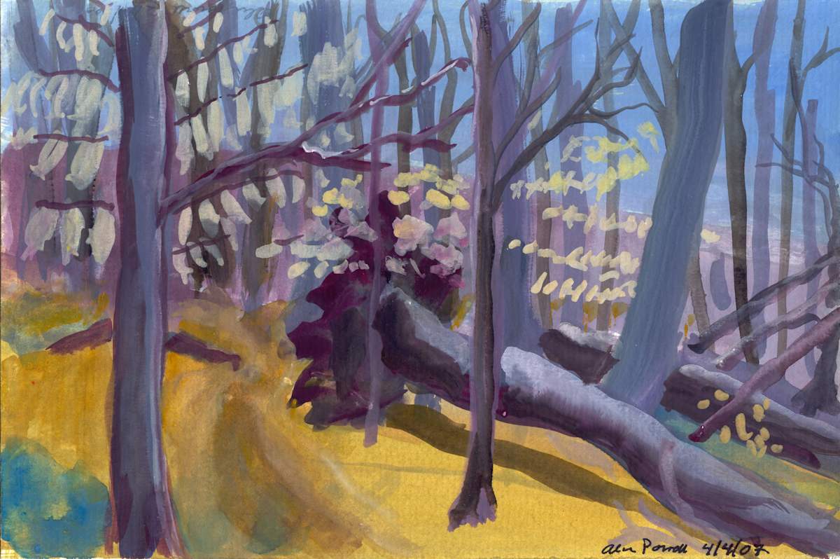 April 4 2007; Forrest by Alan Powell, Image 1.