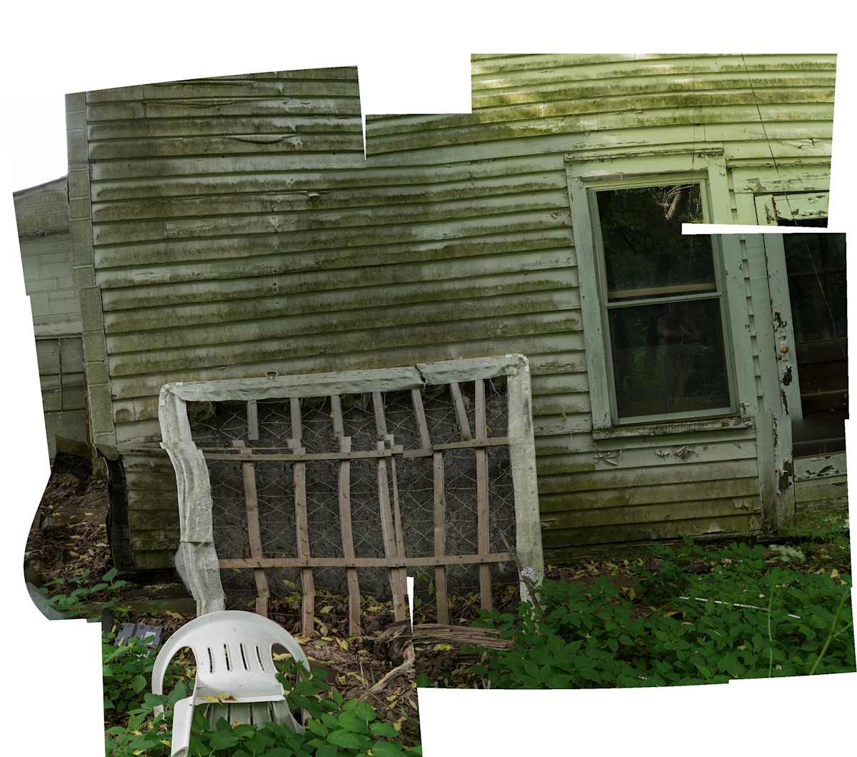 Backyard Mold Trash by Alan Powell, Image 1.