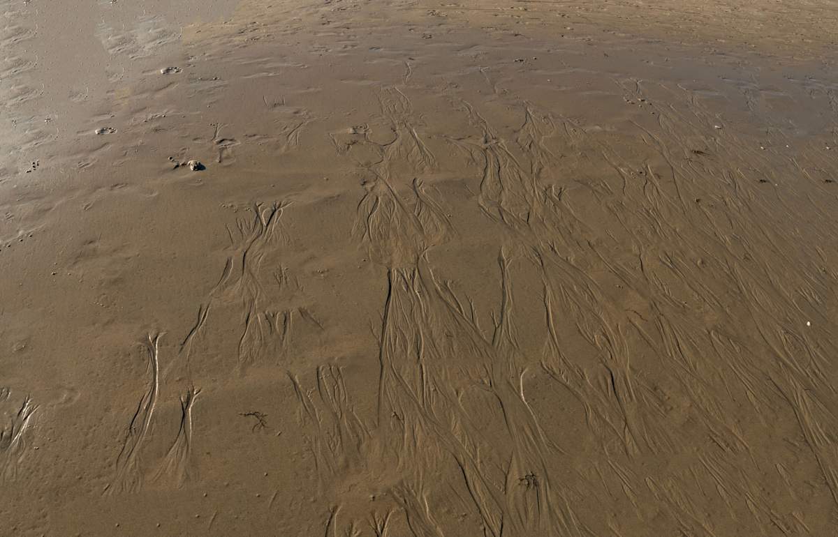 Beach Drainage at Ocean City NJ by Alan Powell, Image 1.