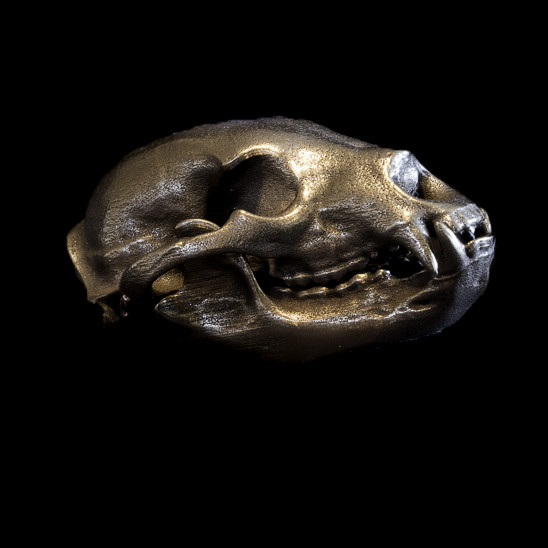 Bronze Bear Skull by Alan Powell 