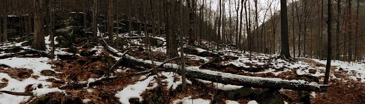 Devil Path Log by Alan Powell, Image 1.