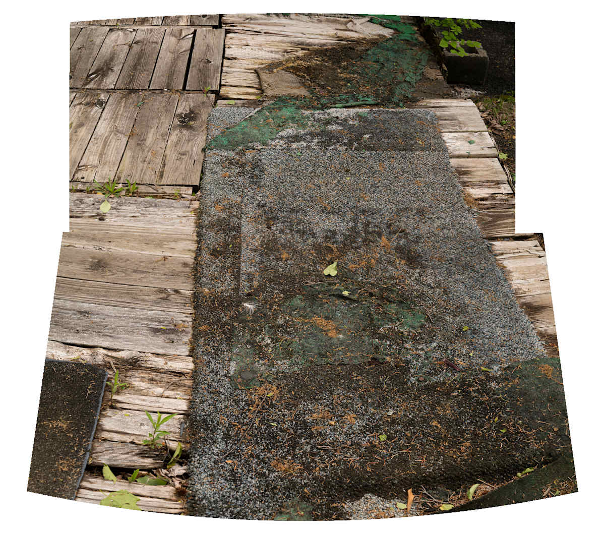Rotted Deck by Alan Powell, Image 1.