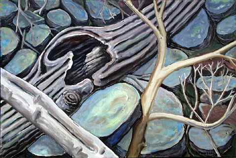 Gully Along Iron Bridge Rd by Alan Powell, Image 1.