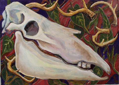 Horse Skull by Alan Powell 