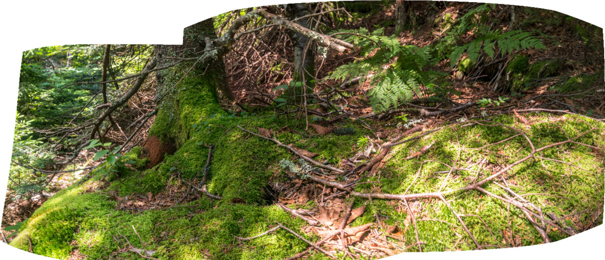 Hunter Rock 2 by Alan Powell 