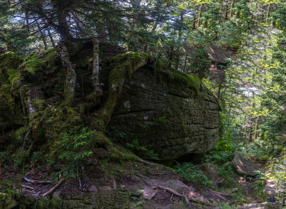 Hunter Rock 3 by Alan Powell 