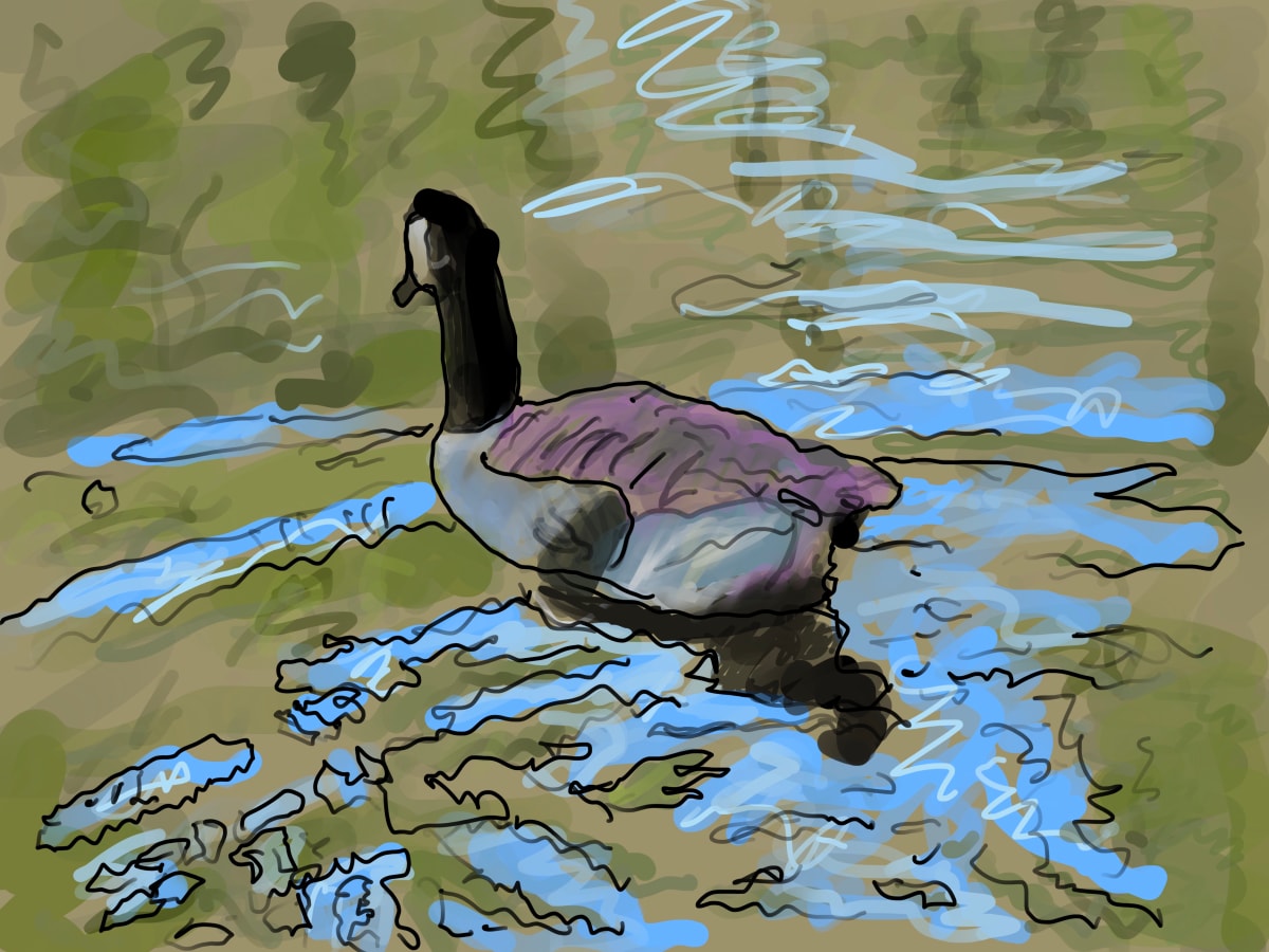 Silly Goose, Image 1.
