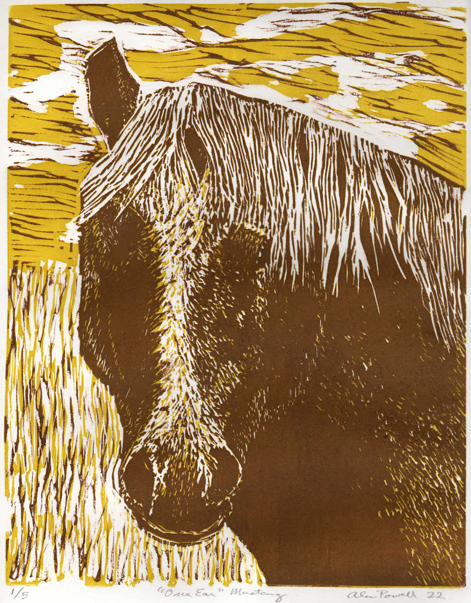 One Ear, Mustang by Alan Powell, Image 1.
