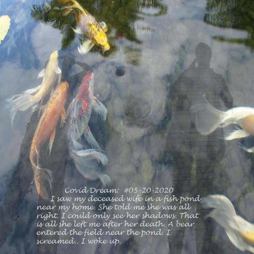 Covid Dreams: Connie's Return, Image 1.