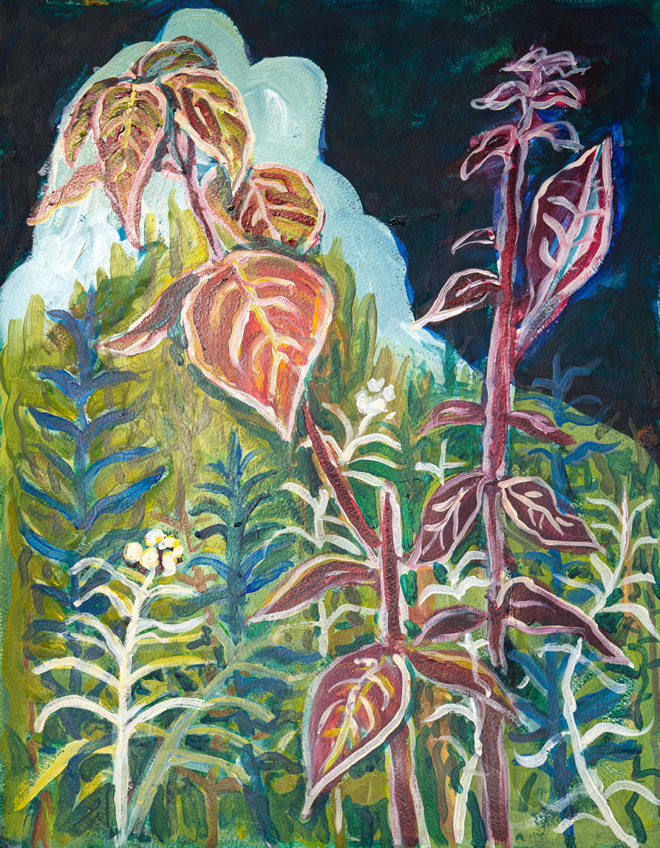 Plein Aire - Andes Field, Image 1.